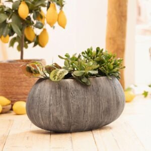 Gėlių dubuo "Woodgrey"